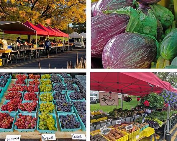 “farmers Markets Sustainability Strategies”