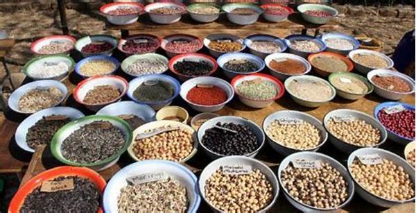 Reliable Sources For Organic Seeds