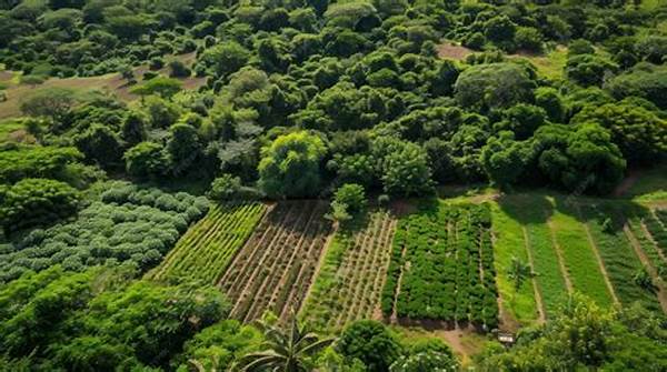 Small-scale Agroforestry Systems