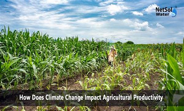Agricultural Productivity And Climate Change