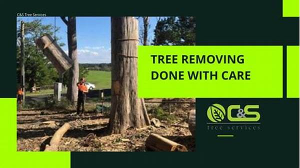 Environmentally Conscious Tree Care