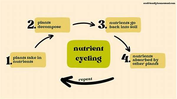 Nutrient Cycling In Organic Systems