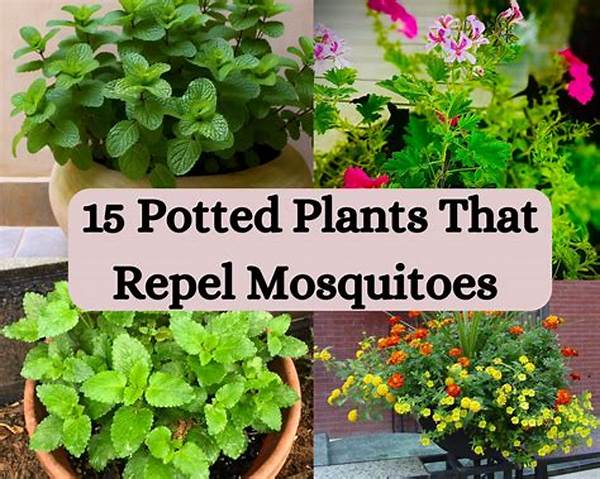 Botanical Solutions To Repel Mosquitoes