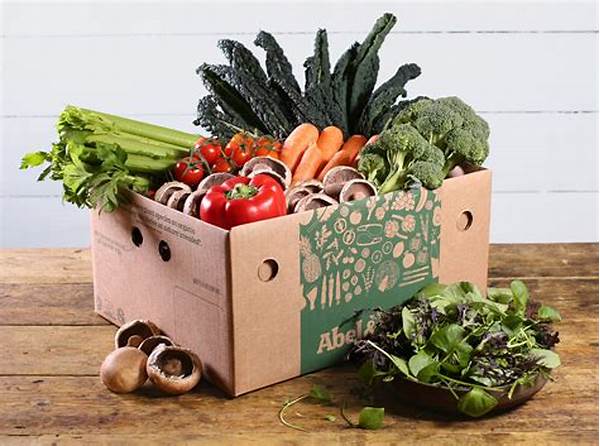 Convenient Organic Produce Box Delivery