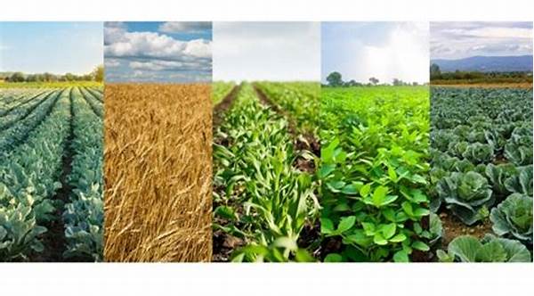 Diverse Crop Rotations For Weed Reduction