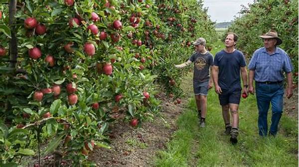 “experience Local Fruit Picking Tours”