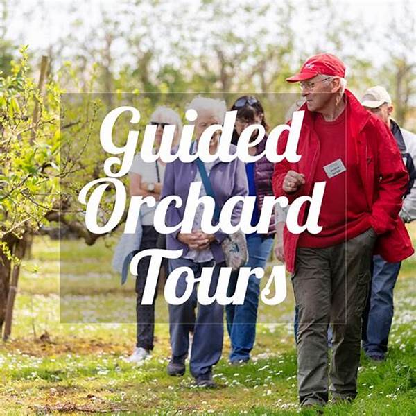 Guided Orchard Discovery Tour