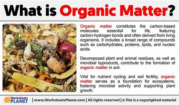 Importance Of Organic Matter Preservation