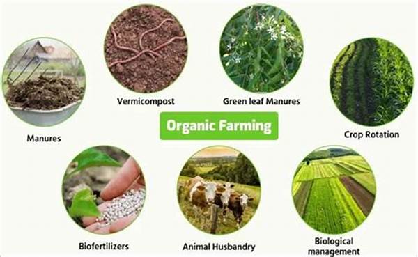 Organic Production System Regulations
