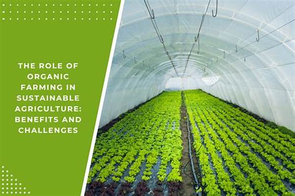 Role Of Minerals In Organic Farming
