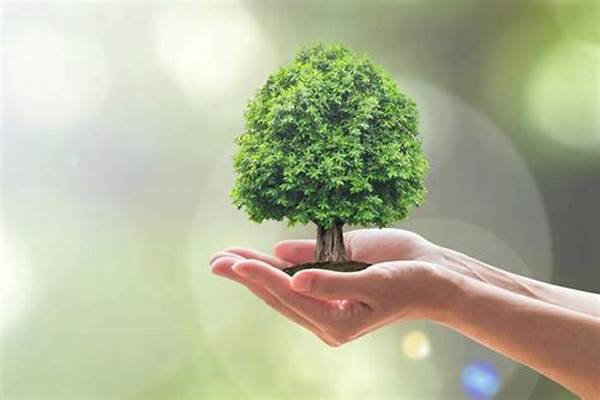 Sustainable Tree Nutrition Solutions