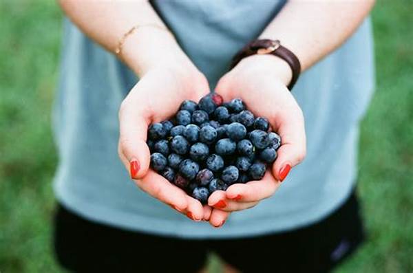 “best Places To Pick Blueberries”