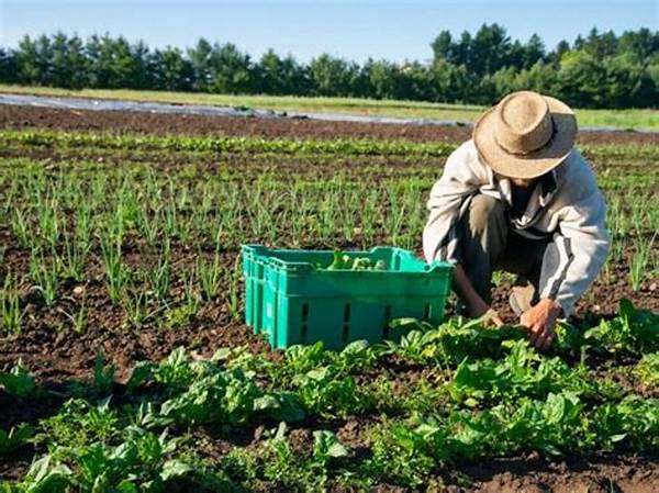 Best Practices For Organic Farm Labor Management
