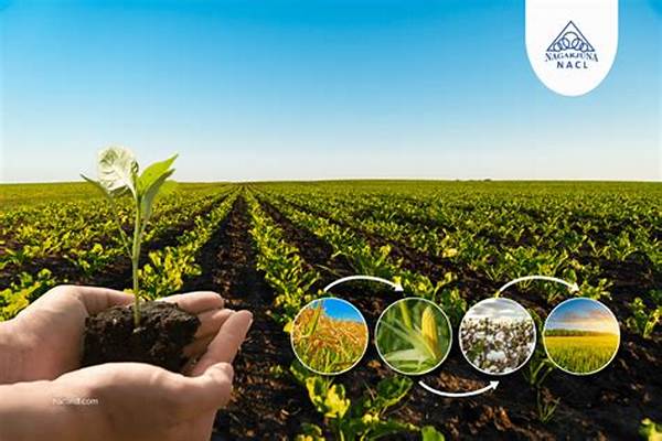 Eco-friendly Crop Yield Improvement