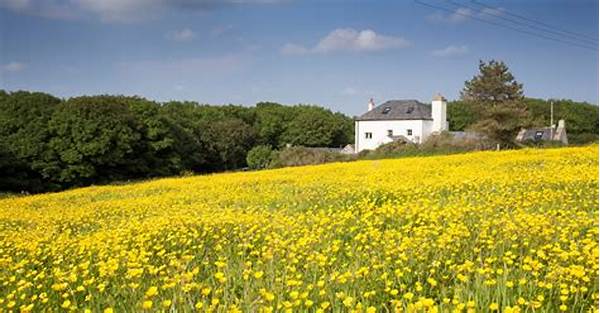 Environmentally Conscious Holiday Cottages