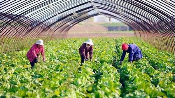 Government Support For Green Agriculture