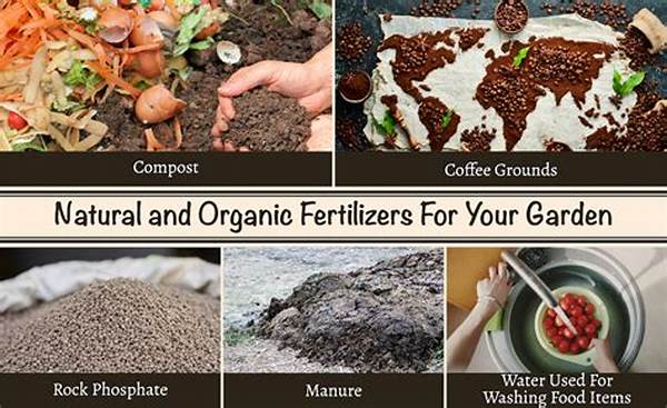 Natural Fertilizer From Home Compost
