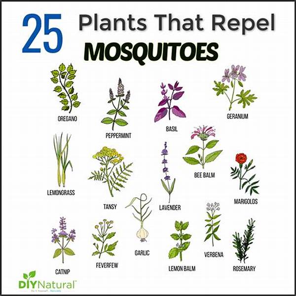 Natural Insect Repellent Plants