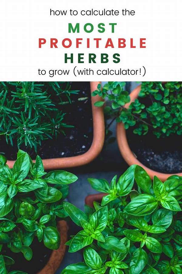 Profitable Herbs For Home Gardening