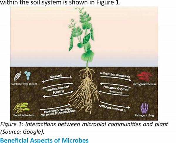 Role Of Soil Microbes In Agriculture