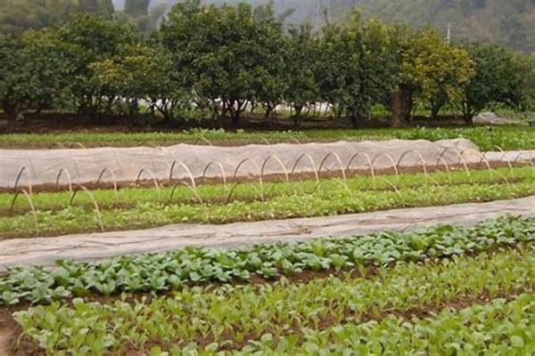 Standards For Organic Farming Practices