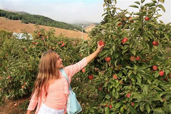 U-pick Organic Fruit Farms Locally
