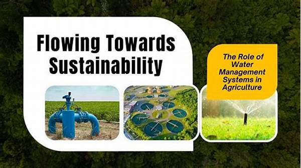 Water Management In Sustainable Agriculture.