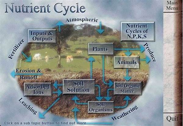 “biodynamics And Nutrient Cycling”