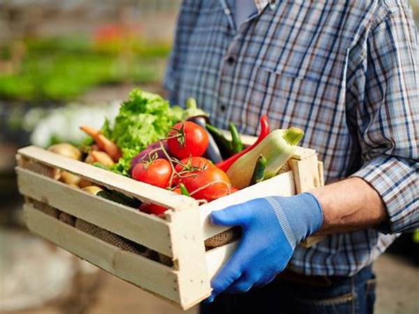 Fresh Local Produce Delivery Services