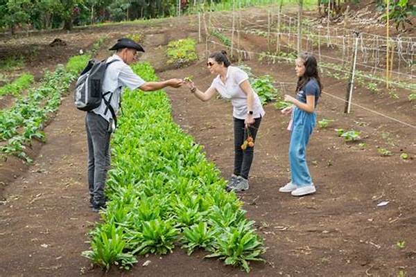 Organic Berry Farm Visits