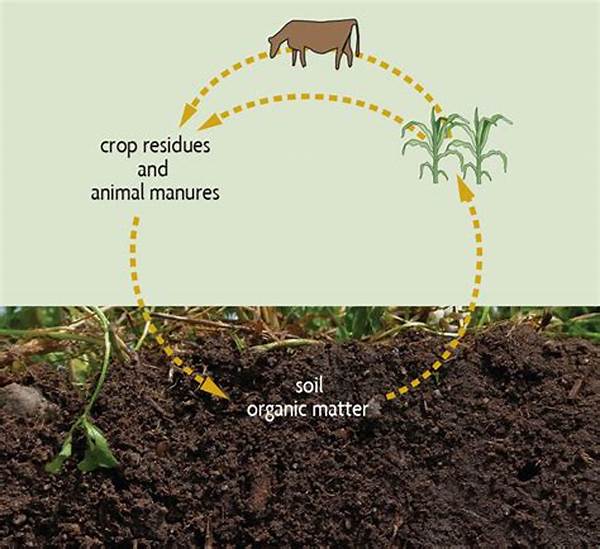 Organic Matter Management In Farming