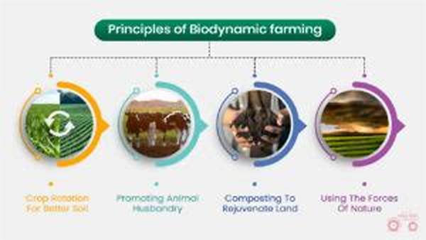 Sustainable Biodynamic Soil Practices